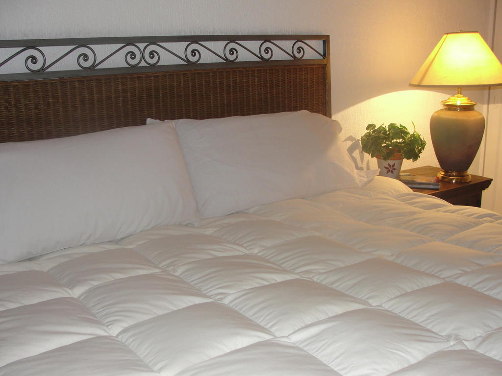 Steinhaus Suites Homero Mexico by Eksteriør bilde